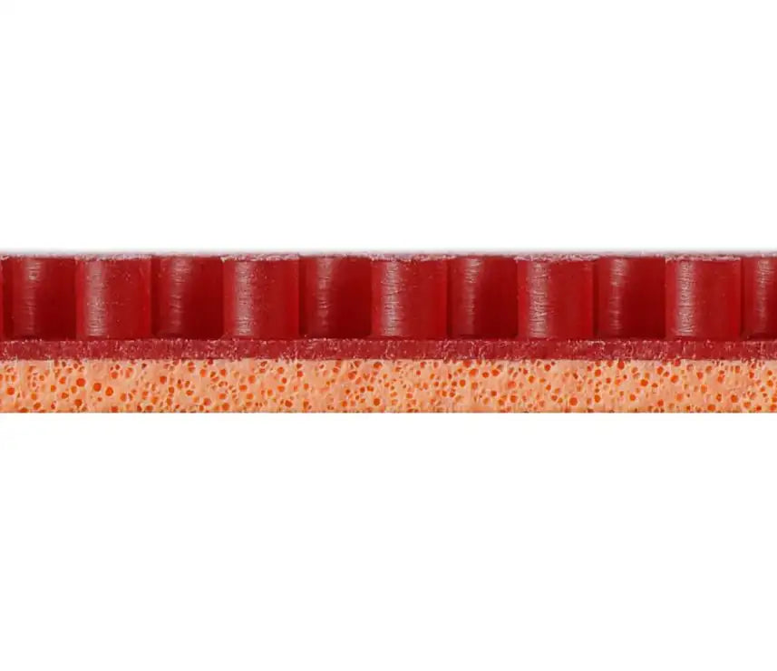 Detailaufnahme Noppenstruktur des Tischtennisbelags Do Knuckle Long von Nittaku